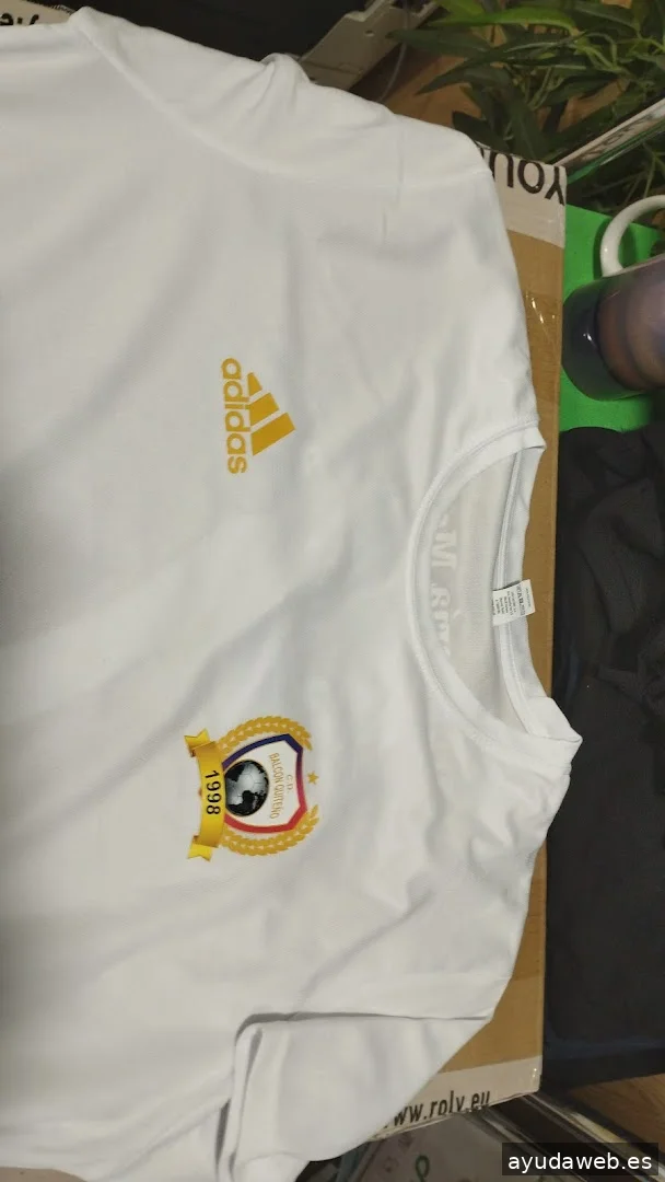 Camisetas Guapas