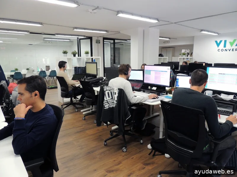 viva! Digital Strategy & Conversion