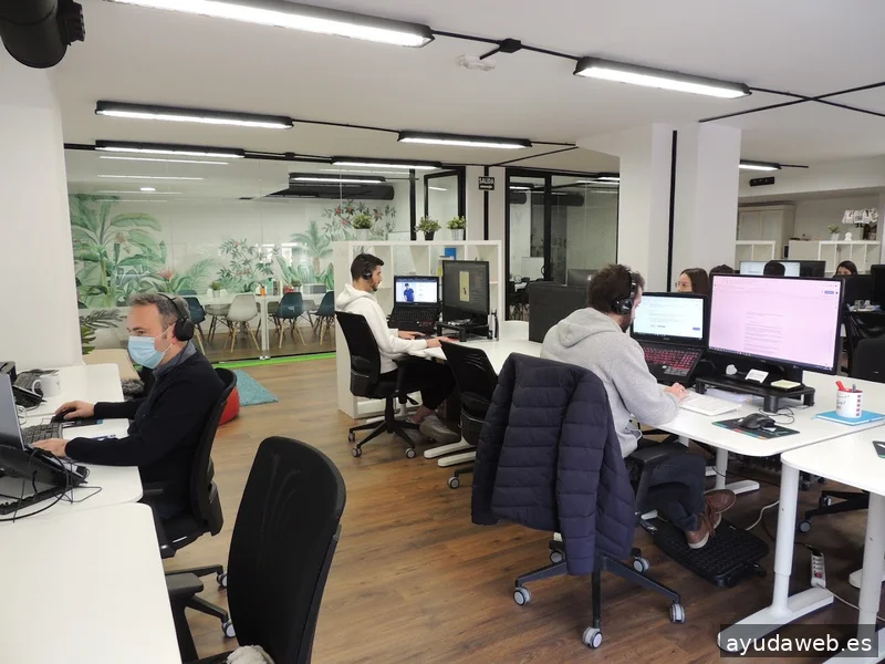 viva! Digital Strategy & Conversion