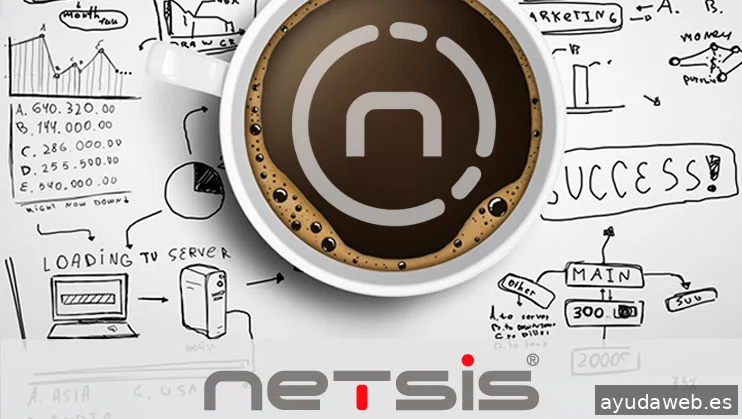 netsis