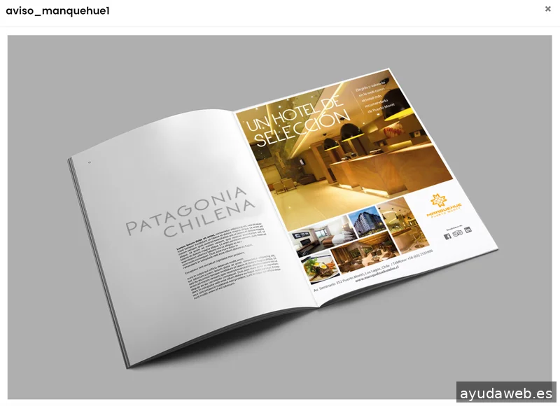 LA CASA DE LOURDES, Agencia de Marketing Digital y Branding