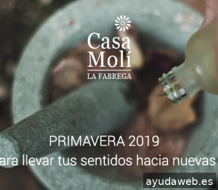 LA CASA DE LOURDES, Agencia de Marketing Digital y Branding