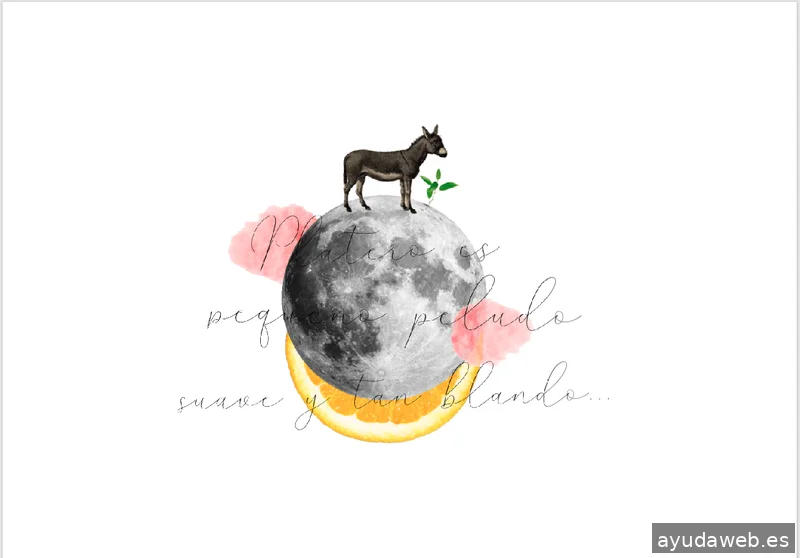 MARIA MERAKI - Diseño Gráfico