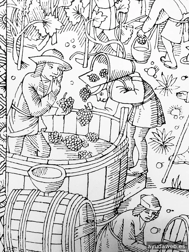 MARIA MERAKI - Diseño Gráfico