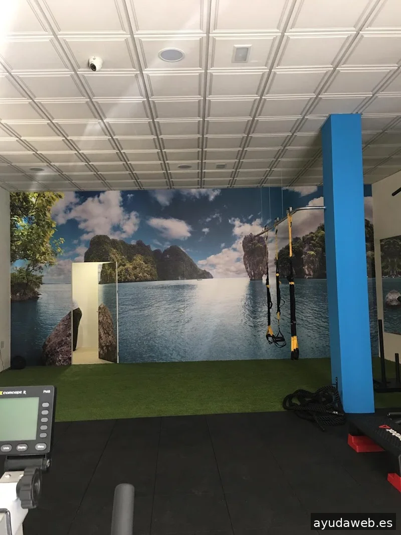 Lhasa Studio Comunicacion Sl