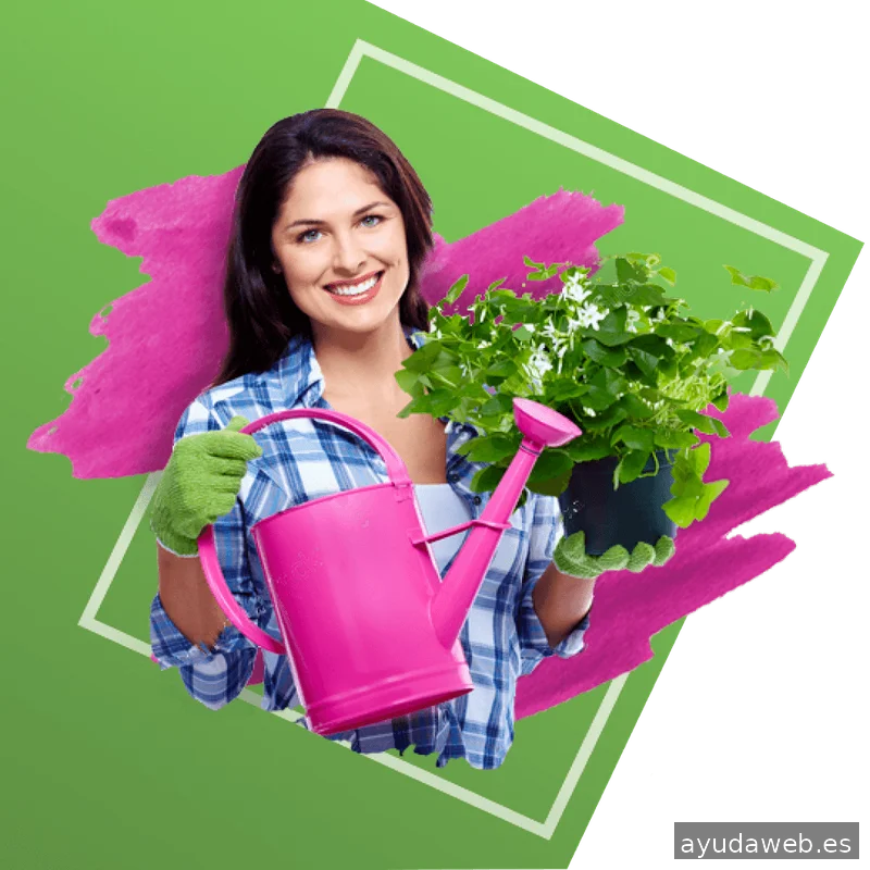 Garagestudio Estudio de Diseño Valencia