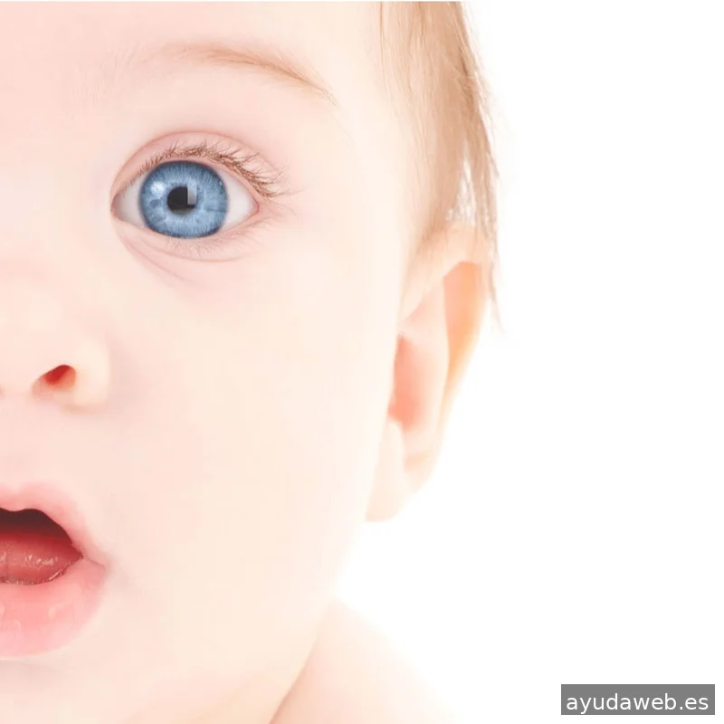 Garagestudio Estudio de Diseño Valencia