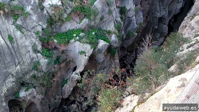 Guía de Málaga