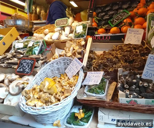 Guía de Málaga