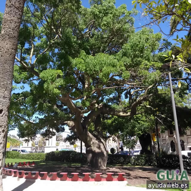 Guía de Málaga