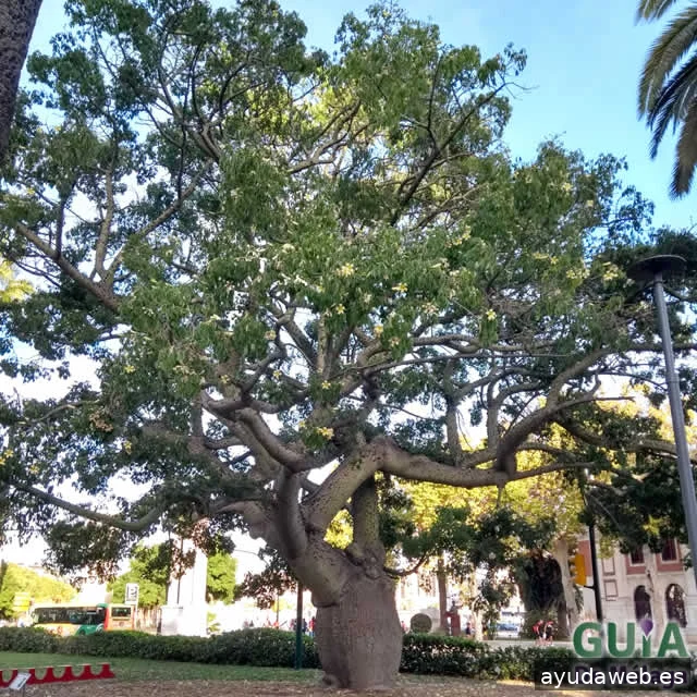 Guía de Málaga