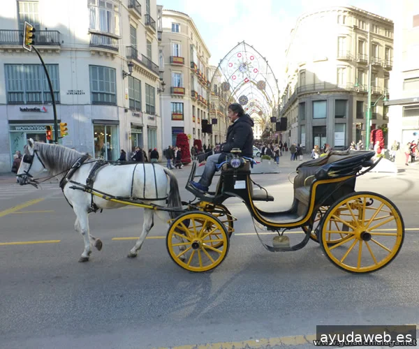 Guía de Málaga