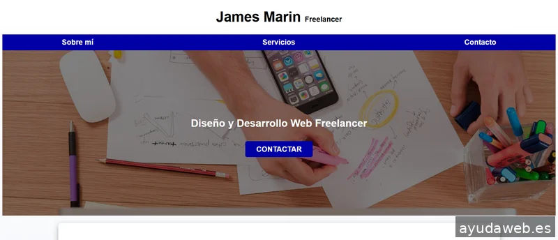 Desarrollador web freelancer