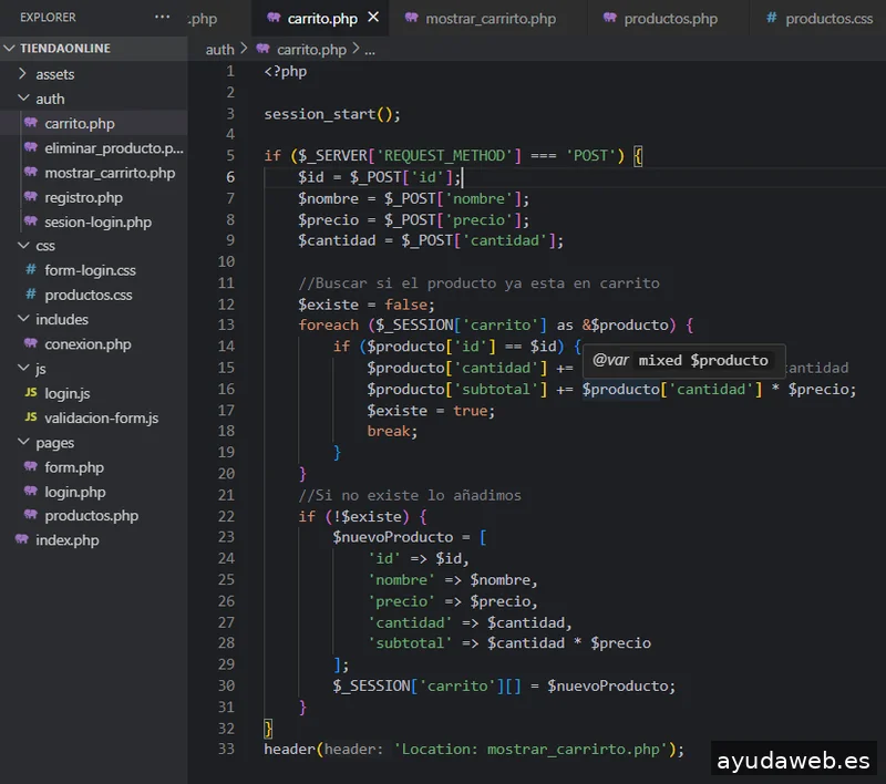 Desarrollador web freelancer