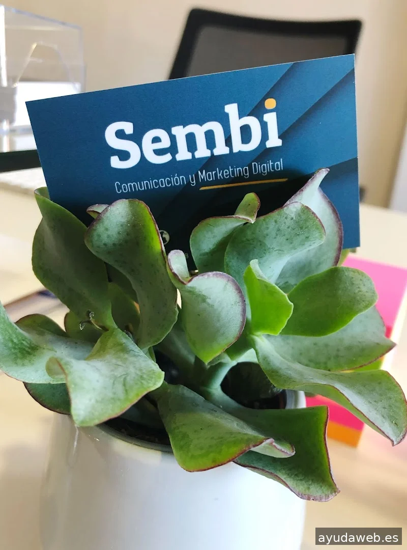 Sembi | Diseño Web & Posicionamiento SEO en Bilbao