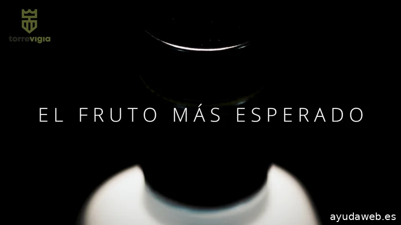 XYZ Comunicación