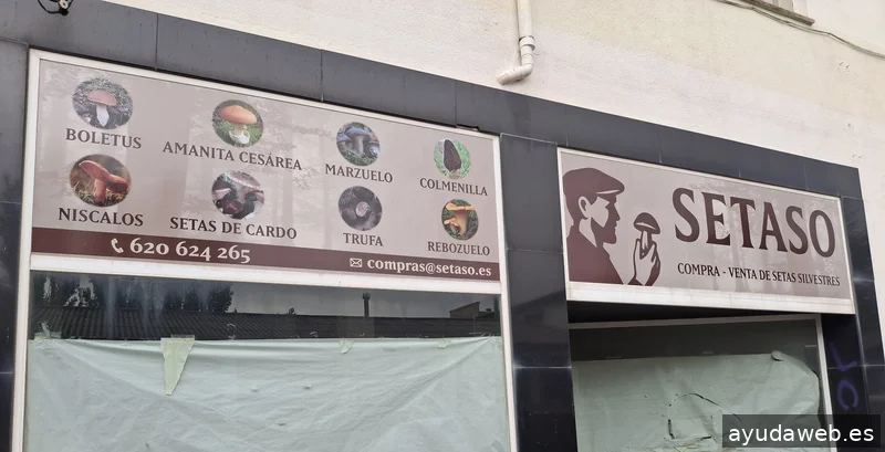 Made in Soria