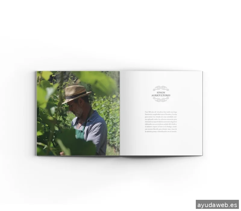 Al Sur Estudio Creativo