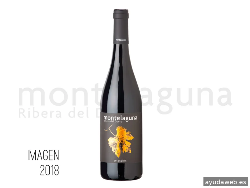 Al Sur Estudio Creativo