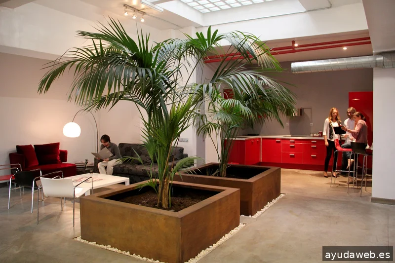 E-strategia - Agencia de Marketing Digital en Madrid