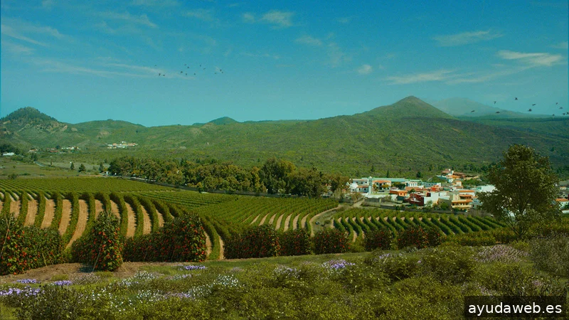 El Exilio × Estudio de animación 3D - Motion graphics - Video 2D y 3D - Madrid