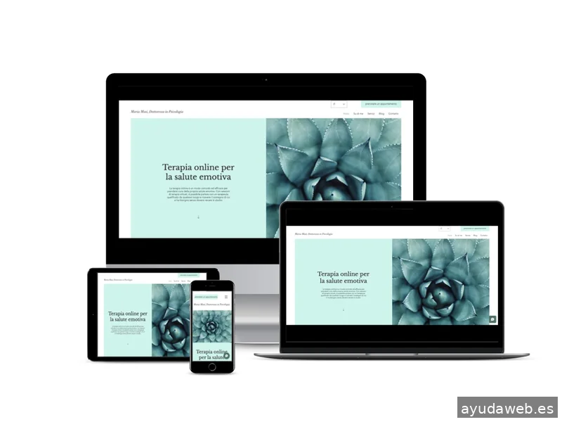 Diseño Web y SEO en Sant Boi | DF Studio Design