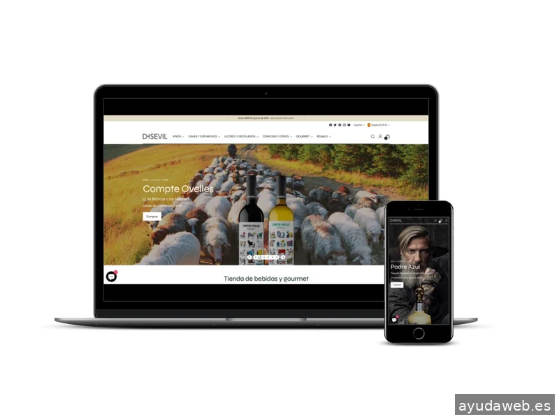 Diseño Web y SEO en Sant Boi | DF Studio Design