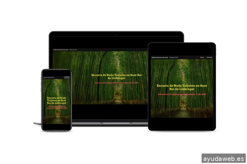 Diseño Web y SEO en Sant Boi | DF Studio Design