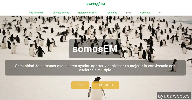 Programador Wordpress Barcelona
