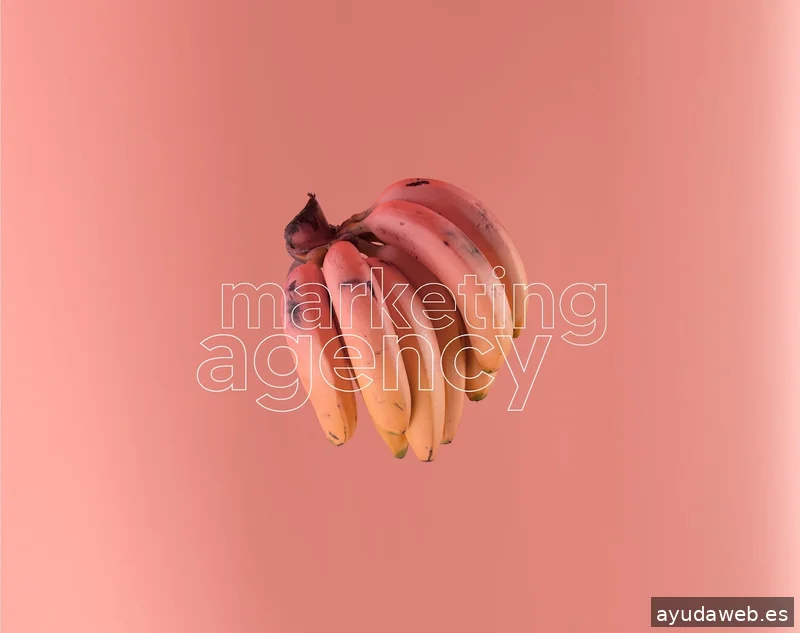 avece marketing agency