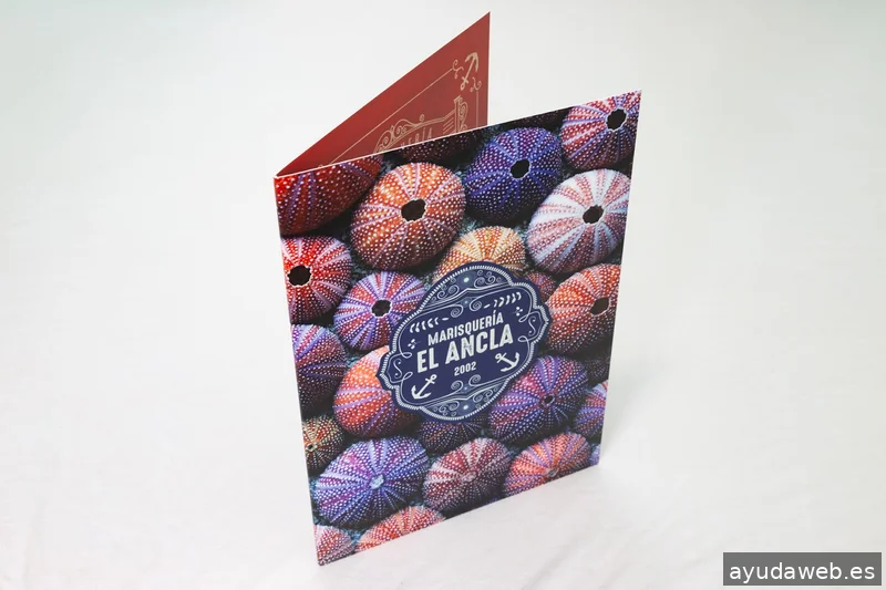 Unionn Estudio Creativo