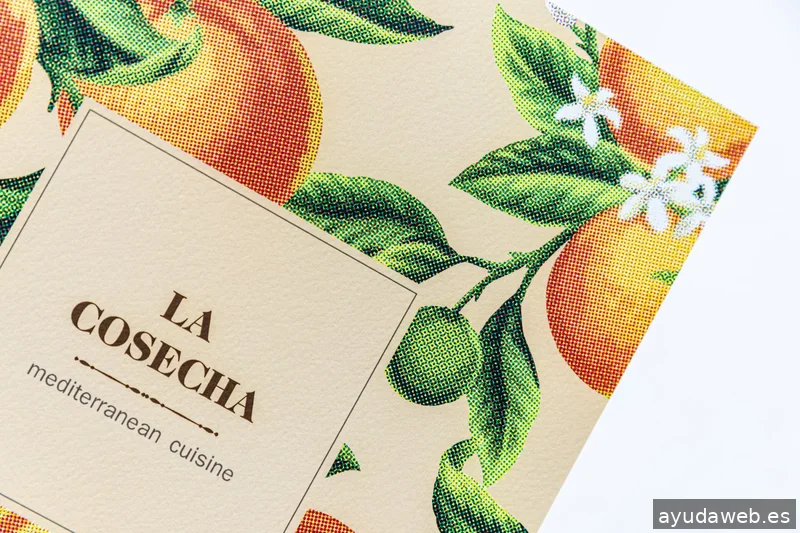 Unionn Estudio Creativo