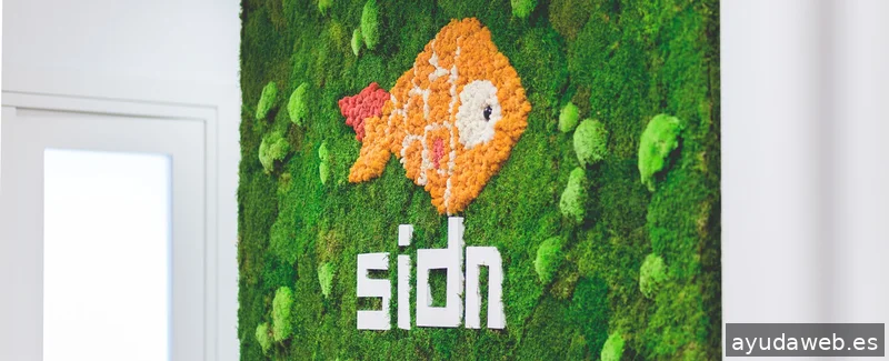 SIDN