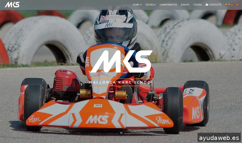 WebAktiva Marketing Digital