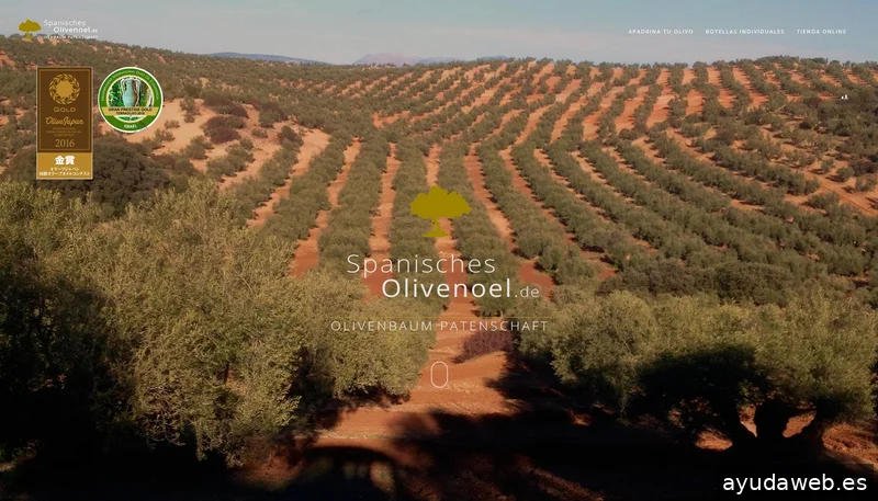 WebAktiva Marketing Digital