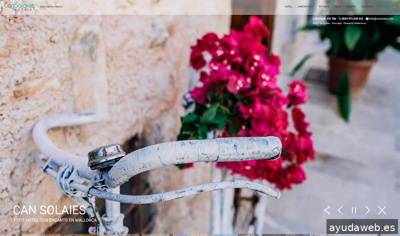 WebAktiva Marketing Digital