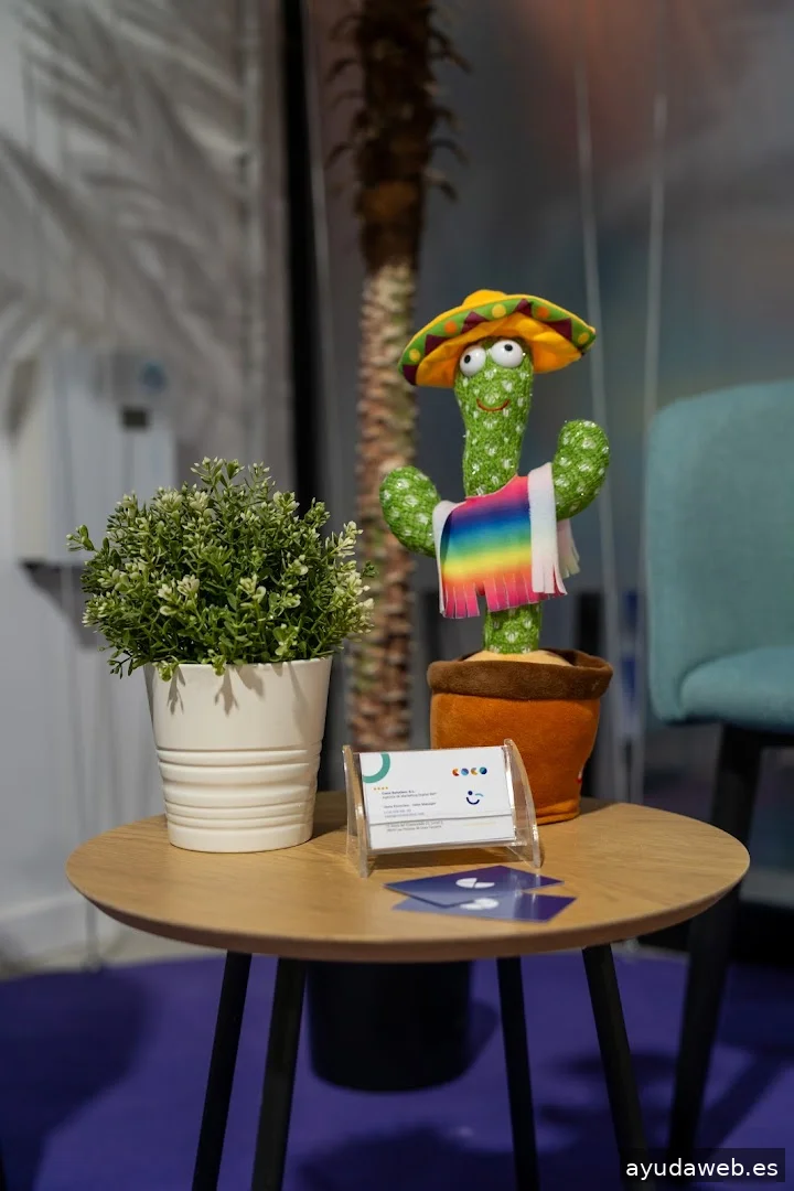 Coco Solution Agencia de Marketing Digital