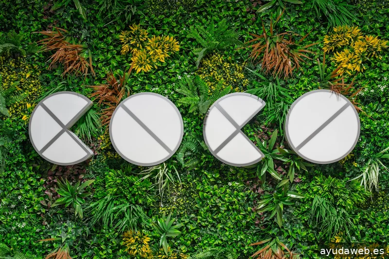 Coco Solution Agencia de Marketing Digital