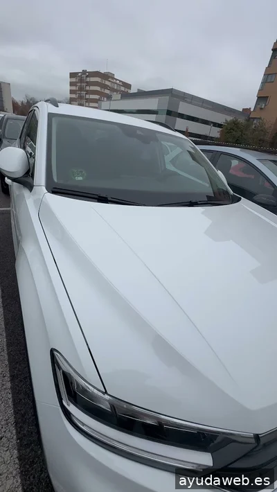 NerTiM - Reparto de Publicidad en Madrid Y Diseño Web - Marketing Online