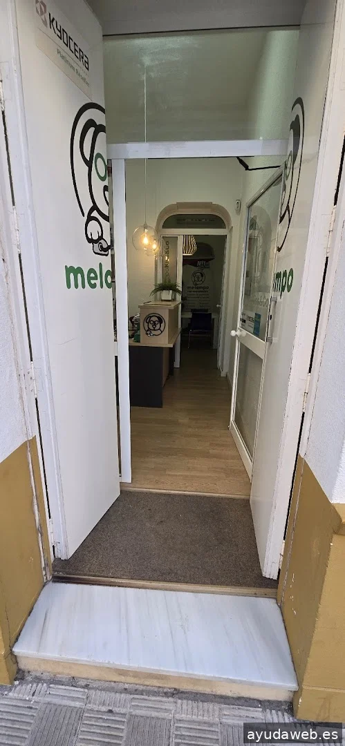 Melampo informática
