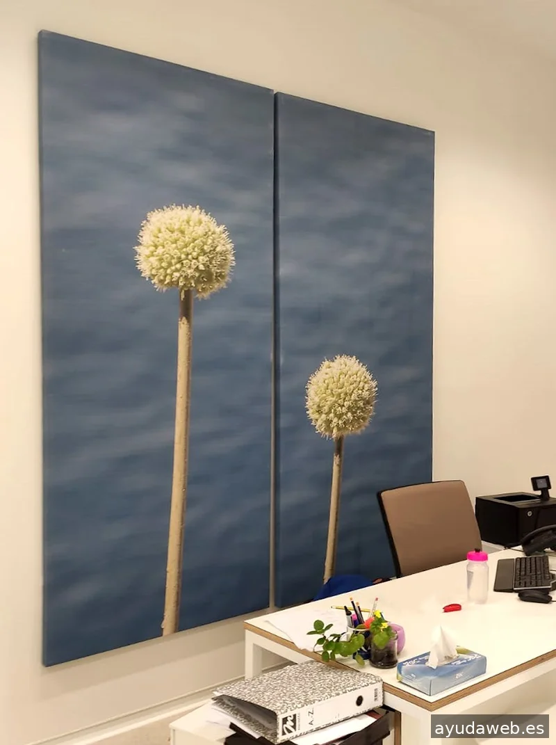 Alfa Soluciones S.L.