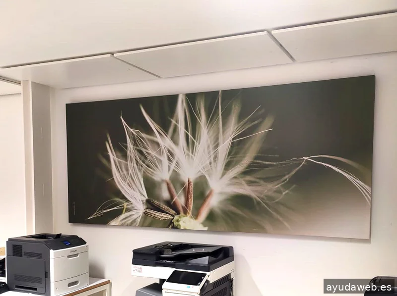 Alfa Soluciones S.L.