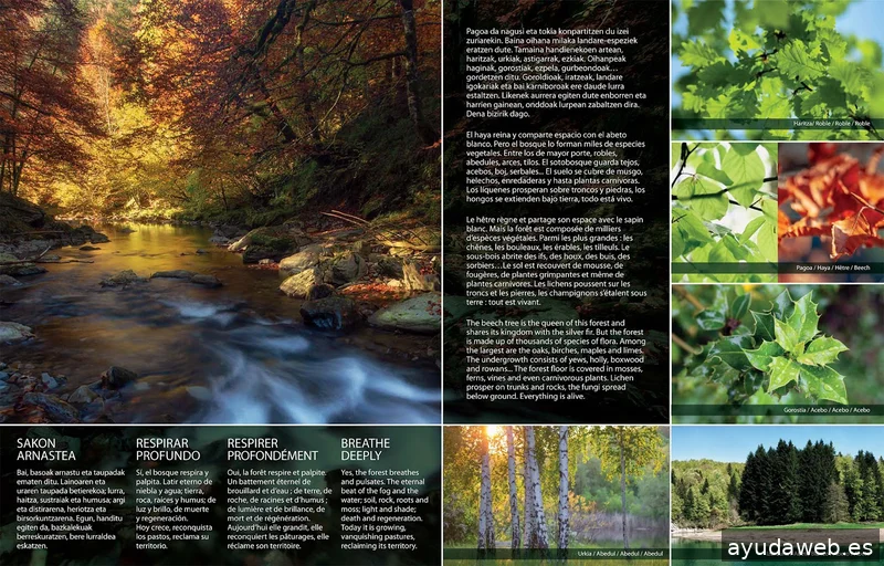 Alfa Soluciones S.L.