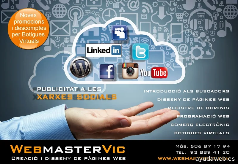 Webmastervic Disseny Web