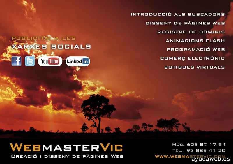 Webmastervic Disseny Web