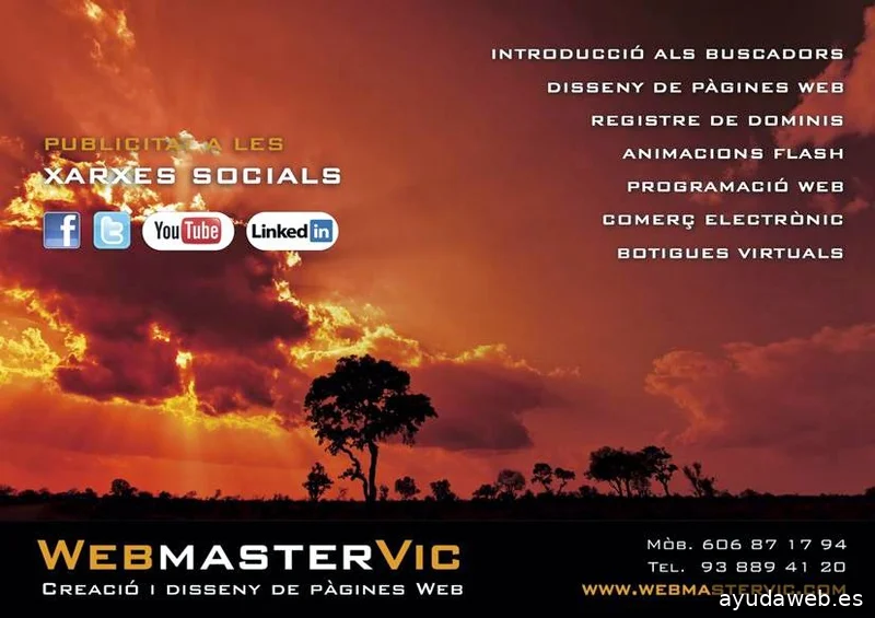 Webmastervic Disseny Web