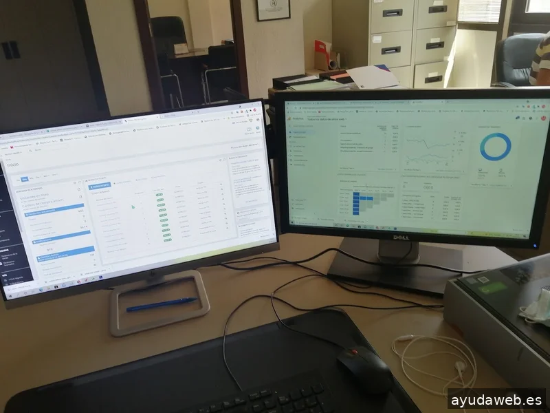 web profesional 360