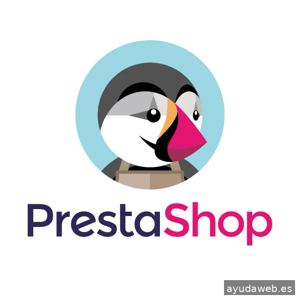 web profesional 360