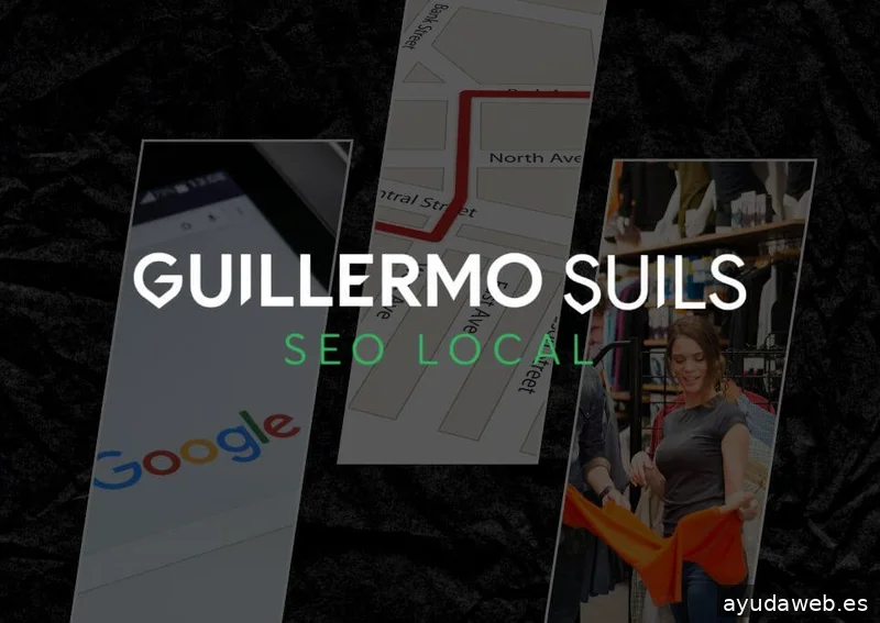 🔍 Consultor SEO · Guillermo Suils