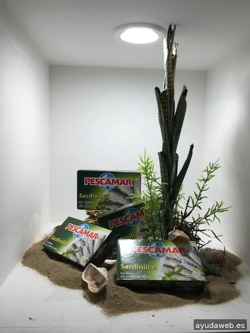 Escaparatista Barcelona Andreu Torras